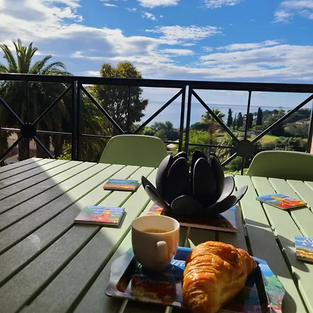 Апартаменти Rev'azur T1 - Vue - Grande Terrasse